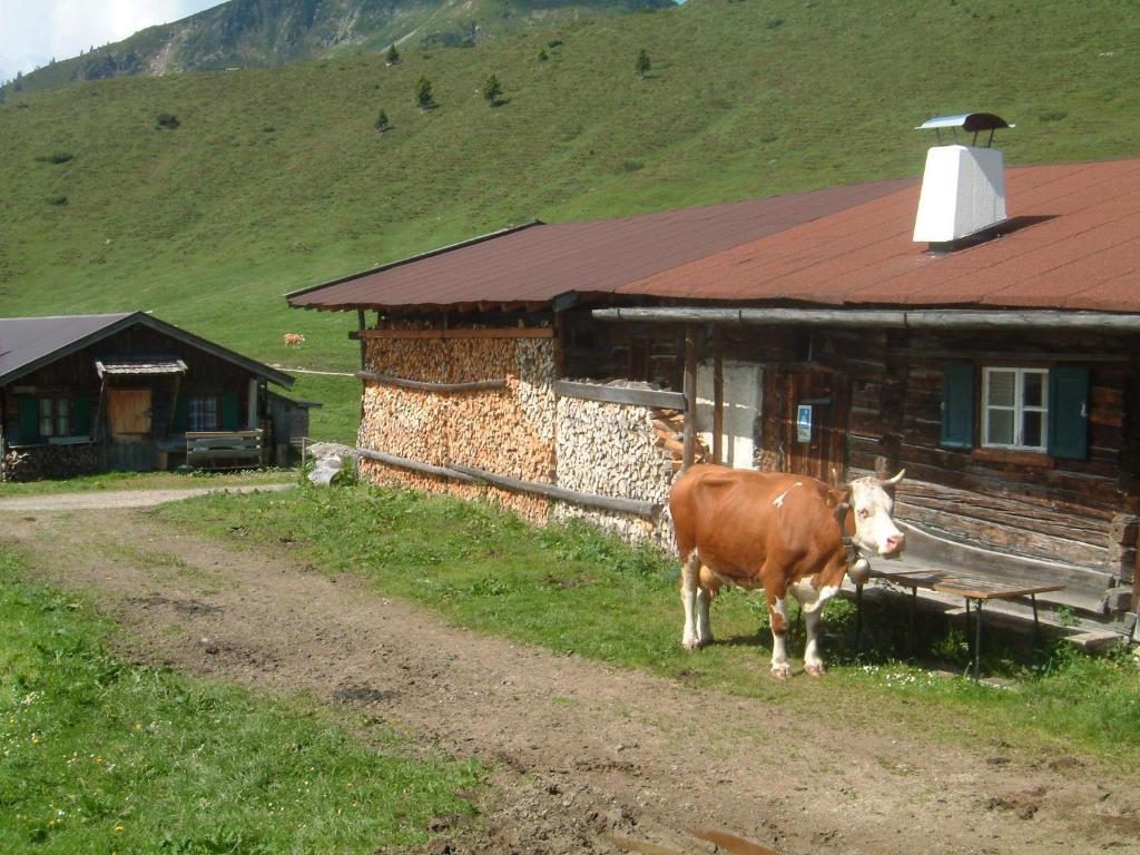 Haus Bruegglbach Kirchberg in Tirol Exterior photo