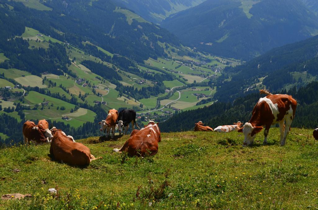 Haus Bruegglbach Kirchberg in Tirol Exterior photo